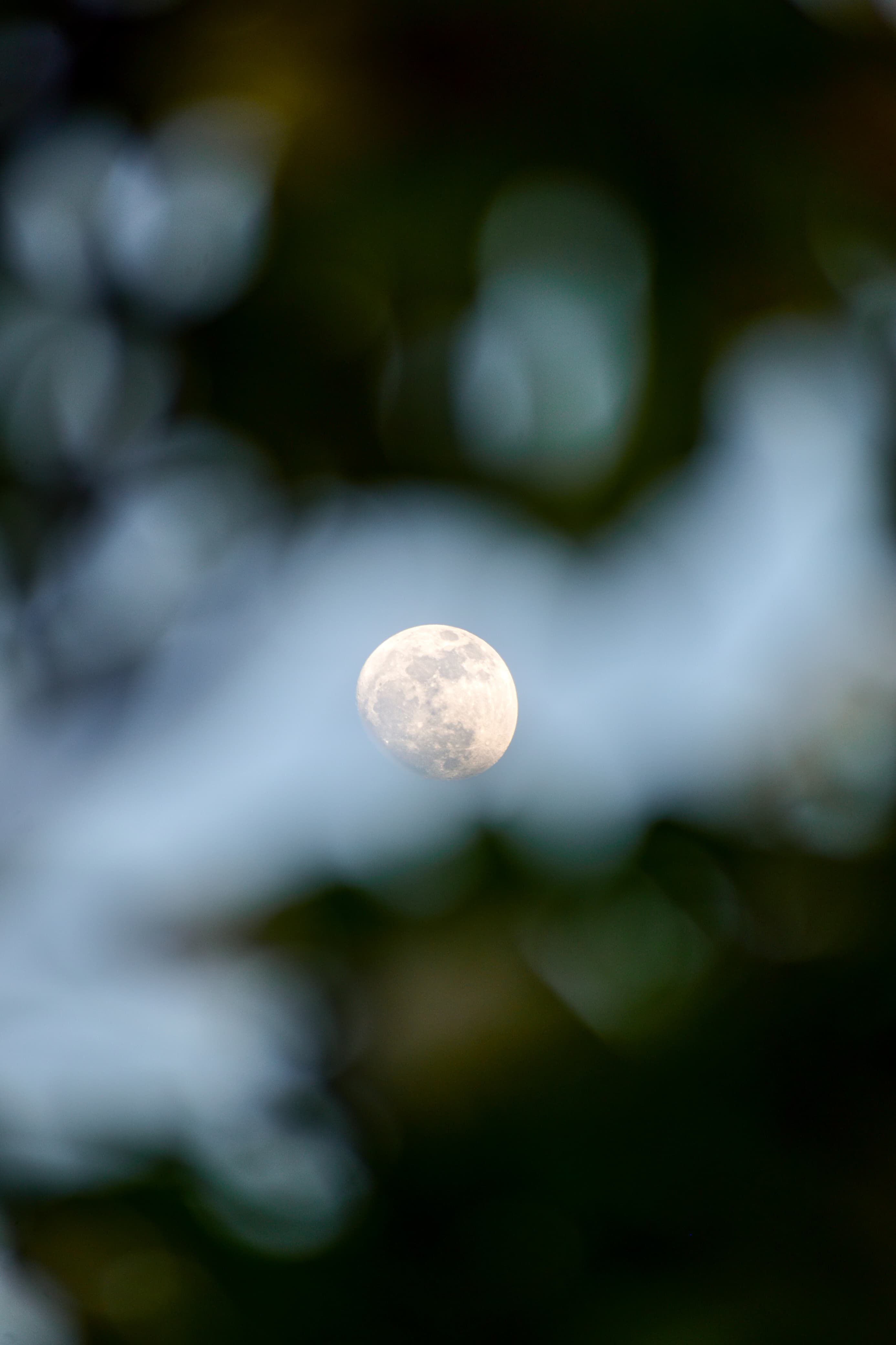moon photo 2
