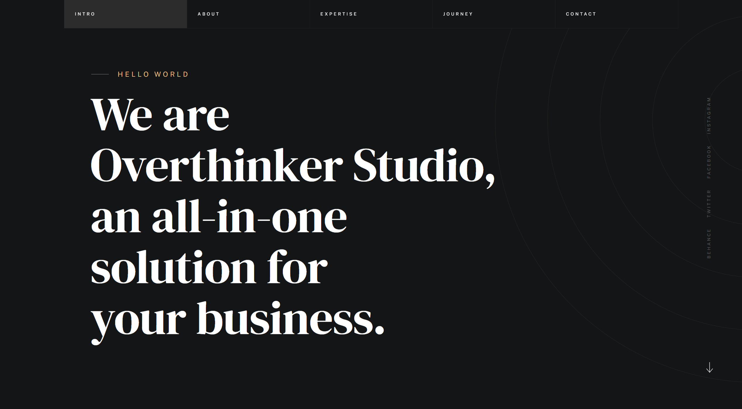 Overthinker Studio Official Website